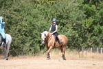 WJ6_8833