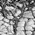 DESERT RUNES #16