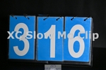 ESP_316