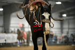 3HRodeo_Frozen_Fury_FEB_2026_00650