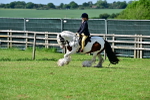 SBM_09409