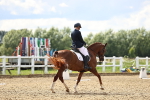 SBM_002477