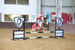 Class 2 - Show Jumping 60cm portfolio