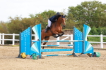 Class 9 - Senior Discovery - 1.00m portfolio