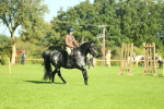 SBM_36454