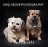 equiscot1871