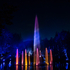 The Enchanted Forest