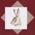 Surprised Hare greetings card