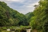 Walking Upstream