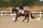 SBM_013462