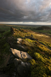 Peak Light