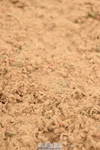 230610A-154250-04095