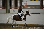 WJ5_6764
