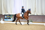 SBM_003387