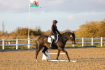 SBM_003353