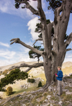 Monte Pollino walk