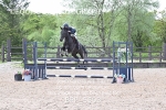 BPP_5503