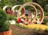 Moon Rings creating shelter