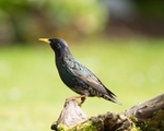 20110529-IMG_5471