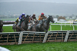 141125-Race 6-Frontier Prince-1508