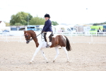 SBM_17575