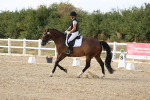 SBM_015803