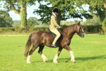 SBM_59838