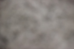 SBM_007174