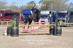 BPP_1688