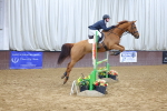 SBM_001336