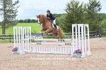 BPP_8353