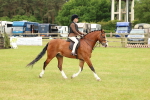 SBM_10223