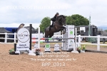 BPP_0313