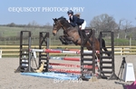 BPP_7449