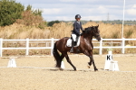 SBM_003533