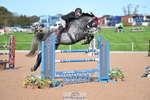 Cls 31 Blue Chip Grade B & C Champ Quali portfolio
