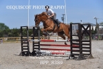 BPP_8389