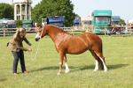 SBM_00587
