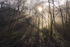 Sunburst 2