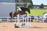 BPP_6597