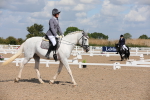 SBM_03975