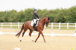 SBM_009819