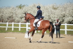 SJ3_0958