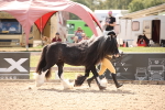 SBM_04534