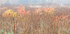 OCTOBER 2012 #5 - NORFOLK COUNTY