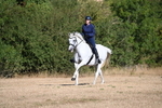 WJ6_6818