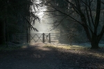 Sunlit Gateway
