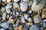 Pebbles _ S028