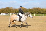 SBM_001013