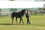 SBM_00755